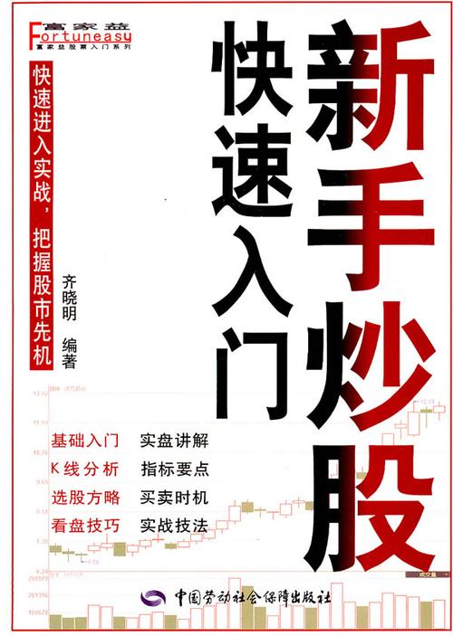新手入门，如何玩股票？开启投资之旅，探索财富奥秘。