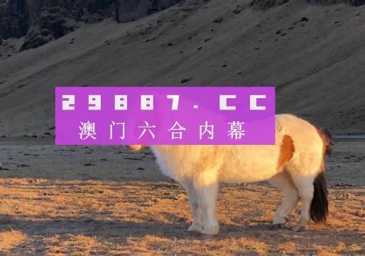 2024澳门特马今晚开奖49图,创新解释说法_为你版79.693