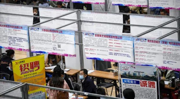 精心研究制造水泥预制机械产品 第31页